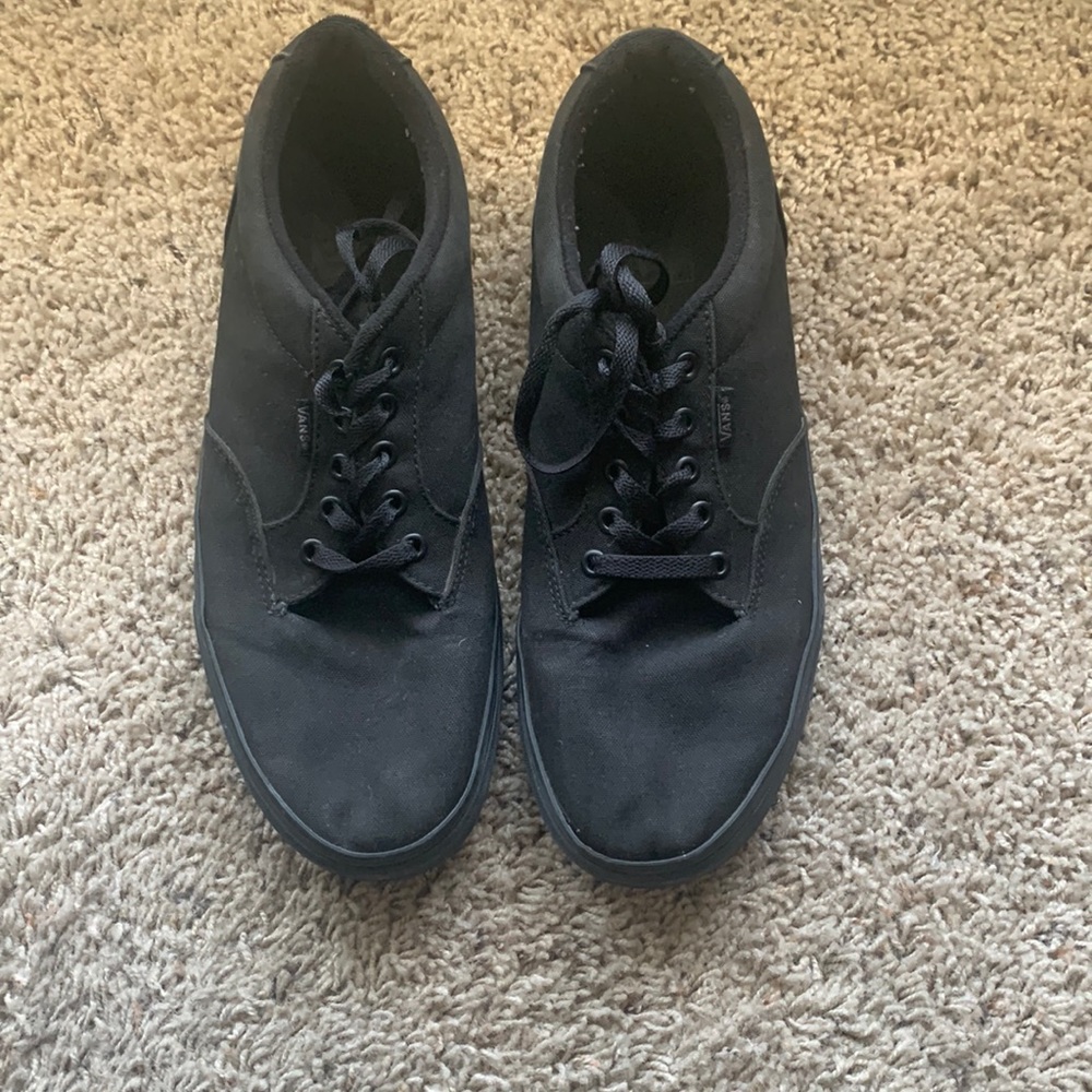 Vans mens skate shoe